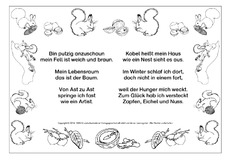Eichhörnchen-Rätselreim-SW.pdf